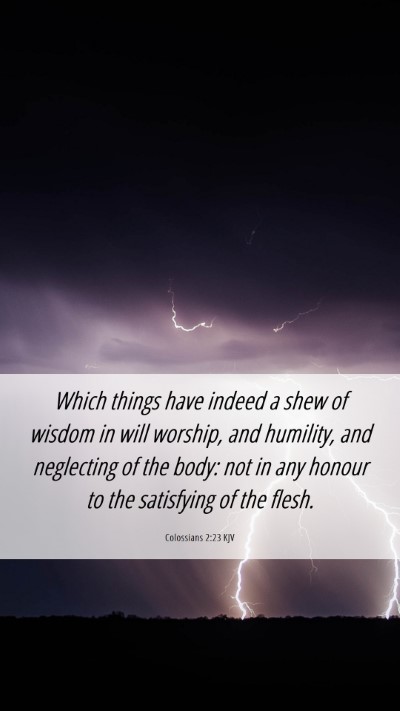Picture 06 - Colossians 2:23 KJV Mobile Phone Wallpaper - Which things have indeed a shew of wisdom in will - Mobile Bible Verse Wallpaper
