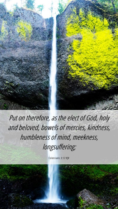 Picture 06 - Colossians 3:12 KJV Mobile Phone Wallpaper - Put on therefore, as the elect of God, holy and - Mobile Bible Verse Wallpaper