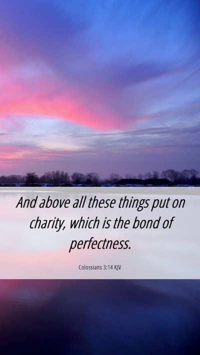 Picture 06 - Colossians 3:14 KJV Mobile Phone Wallpaper - And above all these things put on charity, which - Mobile Bible Verse Wallpaper