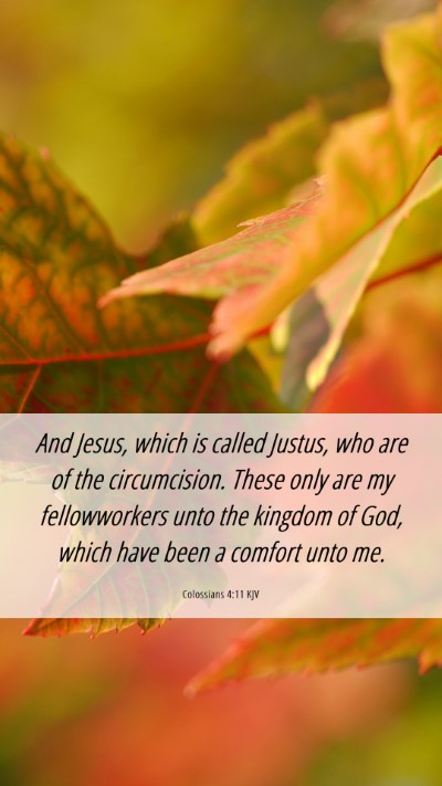 Picture 06 - Colossians 4:11 KJV Mobile Phone Wallpaper - And Jesus, which is called Justus, who are of the - Mobile Bible Verse Wallpaper