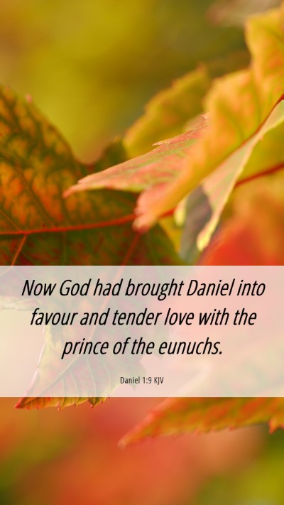 Picture 06 - Daniel 1:9 KJV Mobile Phone Wallpaper - Now God had brought Daniel into favour and tender - Mobile Bible Verse Wallpaper