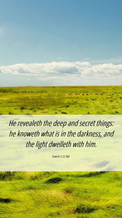 Picture 06 - Daniel 2:22 KJV Mobile Phone Wallpaper - He revealeth the deep and secret things: he - Mobile Bible Verse Wallpaper