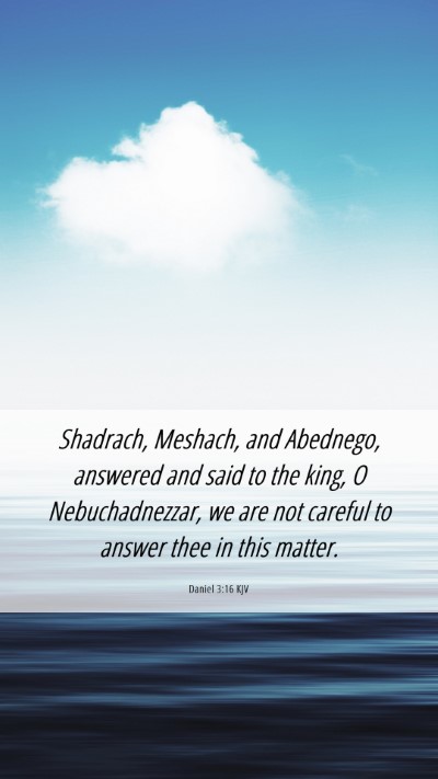 Picture 06 - Daniel 3:16 KJV Mobile Phone Wallpaper - Shadrach, Meshach, and Abednego, answered and - Mobile Bible Verse Wallpaper