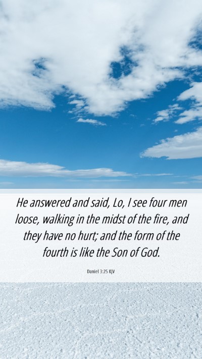 Picture 06 - Daniel 3:25 KJV Mobile Phone Wallpaper - He answered and said, Lo, I see four men loose, - Mobile Bible Verse Wallpaper