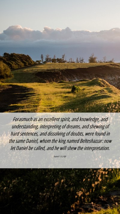 Picture 06 - Daniel 5:12 KJV Mobile Phone Wallpaper - Forasmuch as an excellent spirit, and knowledge, - Mobile Bible Verse Wallpaper