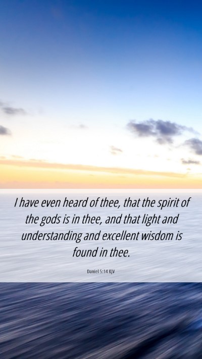 Picture 06 - Daniel 5:14 KJV Mobile Phone Wallpaper - I have even heard of thee, that the spirit of the - Mobile Bible Verse Wallpaper