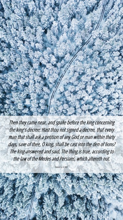 Picture 06 - Daniel 6:12 KJV Mobile Phone Wallpaper - Then they came near, and spake before the king - Mobile Bible Verse Wallpaper