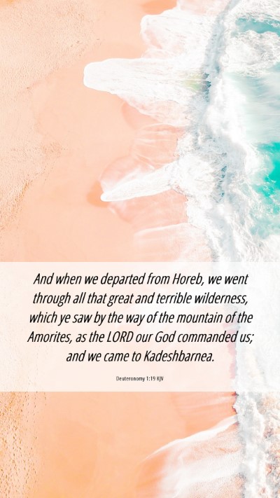 Picture 06 - Deuteronomy 1:19 KJV Mobile Phone Wallpaper - And when we departed from Horeb, we went through - Mobile Bible Verse Wallpaper