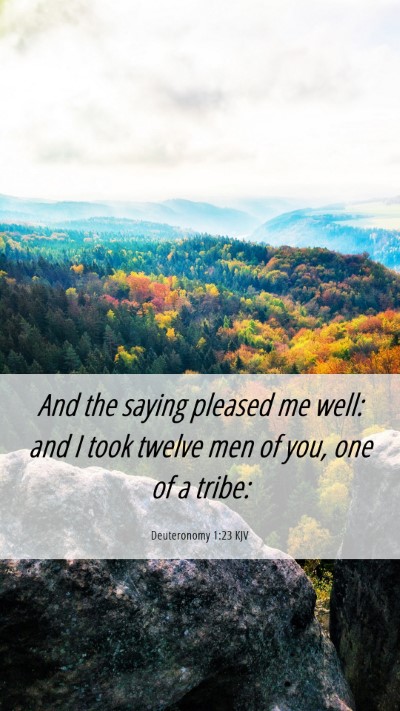 Picture 06 - Deuteronomy 1:23 KJV Mobile Phone Wallpaper - And the saying pleased me well: and I took twelve - Mobile Bible Verse Wallpaper