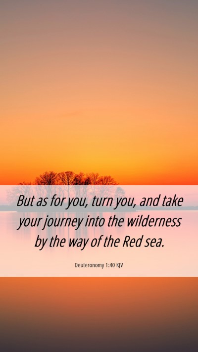 Picture 06 - Deuteronomy 1:40 KJV Mobile Phone Wallpaper - But as for you, turn you, and take your journey - Mobile Bible Verse Wallpaper
