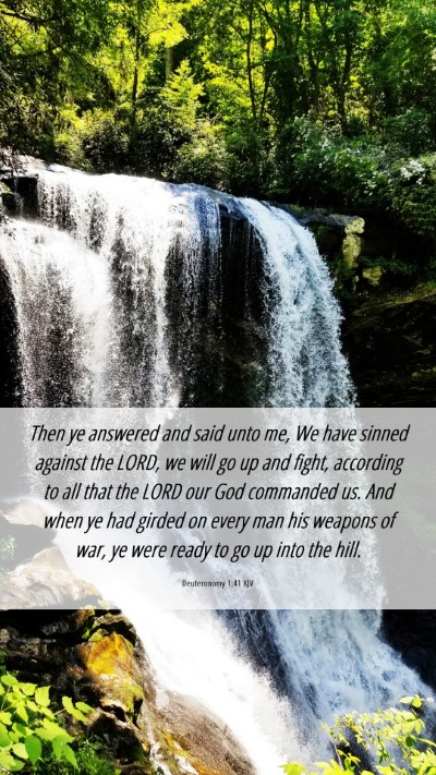 Picture 06 - Deuteronomy 1:41 KJV Mobile Phone Wallpaper - Then ye answered and said unto me, We have sinned - Mobile Bible Verse Wallpaper