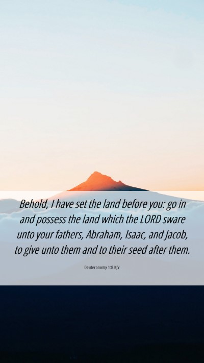 Picture 06 - Deuteronomy 1:8 KJV Mobile Phone Wallpaper - Behold, I have set the land before you: go in and - Mobile Bible Verse Wallpaper