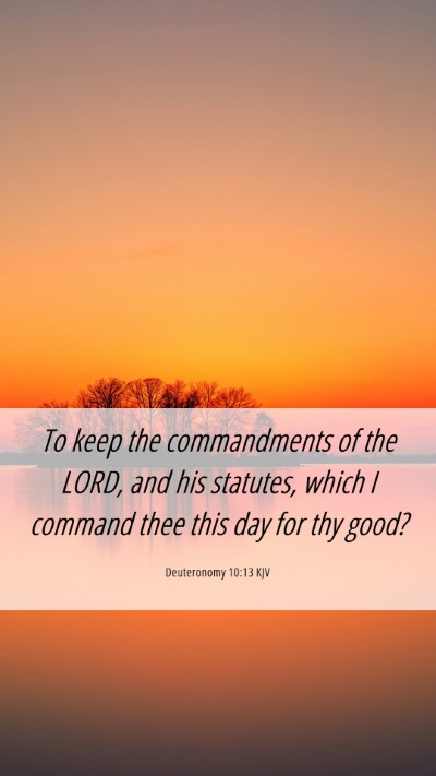 Picture 06 - Deuteronomy 10:13 KJV Mobile Phone Wallpaper - To keep the commandments of the LORD, and his - Mobile Bible Verse Wallpaper