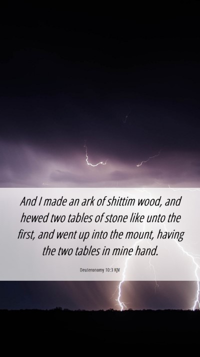 Picture 06 - Deuteronomy 10:3 KJV Mobile Phone Wallpaper - And I made an ark of shittim wood, and hewed two - Mobile Bible Verse Wallpaper