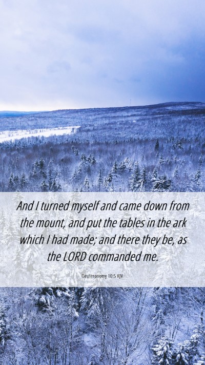 Picture 06 - Deuteronomy 10:5 KJV Mobile Phone Wallpaper - And I turned myself and came down from the mount, - Mobile Bible Verse Wallpaper
