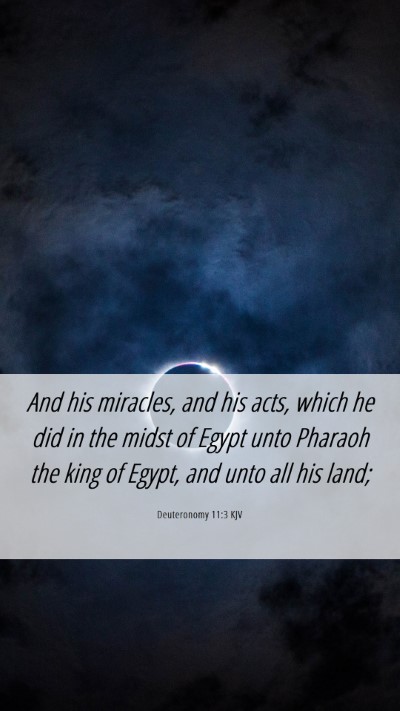 Picture 06 - Deuteronomy 11:3 KJV Mobile Phone Wallpaper - And his miracles, and his acts, which he did in - Mobile Bible Verse Wallpaper