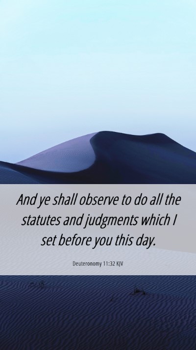 Picture 06 - Deuteronomy 11:32 KJV Mobile Phone Wallpaper - And ye shall observe to do all the statutes and - Mobile Bible Verse Wallpaper