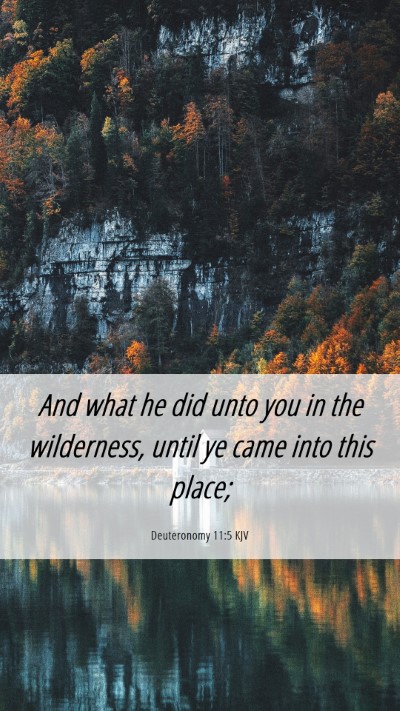 Picture 06 - Deuteronomy 11:5 KJV Mobile Phone Wallpaper - And what he did unto you in the wilderness, until - Mobile Bible Verse Wallpaper