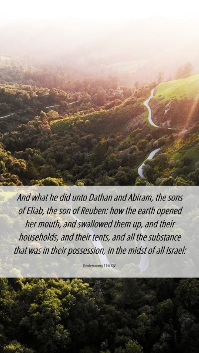 Picture 06 - Deuteronomy 11:6 KJV Mobile Phone Wallpaper - And what he did unto Dathan and Abiram, the sons - Mobile Bible Verse Wallpaper