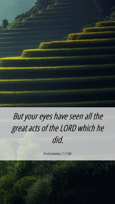 Picture 06 - Deuteronomy 11:7 KJV Mobile Phone Wallpaper - But your eyes have seen all the great acts of the - Mobile Bible Verse Wallpaper