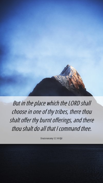 Picture 06 - Deuteronomy 12:14 KJV Mobile Phone Wallpaper - But in the place which the LORD shall choose in - Mobile Bible Verse Wallpaper
