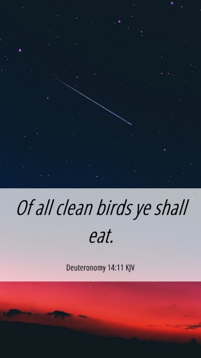 Picture 06 - Deuteronomy 14:11 KJV Mobile Phone Wallpaper - Of all clean birds ye shall - Mobile Bible Verse Wallpaper