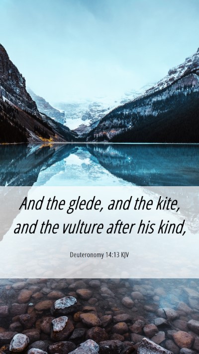 Picture 06 - Deuteronomy 14:13 KJV Mobile Phone Wallpaper - And the glede, and the kite, and the vulture - Mobile Bible Verse Wallpaper