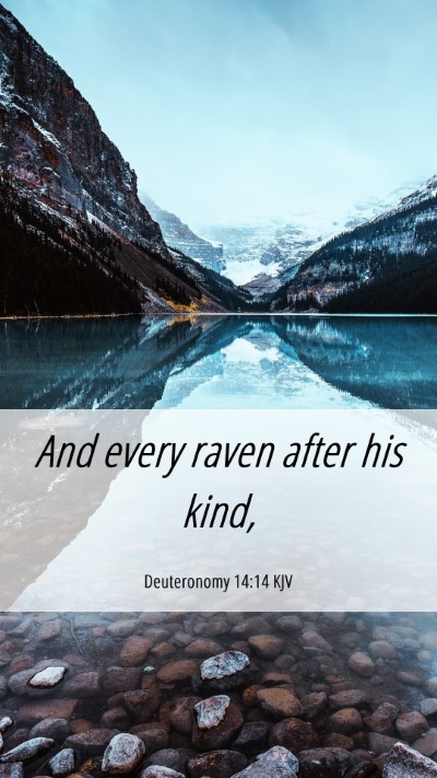 Picture 06 - Deuteronomy 14:14 KJV Mobile Phone Wallpaper - And every raven after his - Mobile Bible Verse Wallpaper