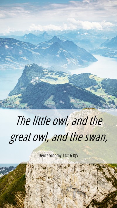 Picture 06 - Deuteronomy 14:16 KJV Mobile Phone Wallpaper - The little owl, and the great owl, and the - Mobile Bible Verse Wallpaper