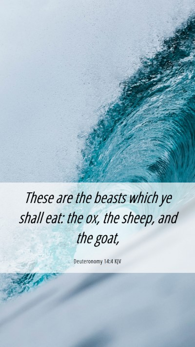 Picture 06 - Deuteronomy 14:4 KJV Mobile Phone Wallpaper - These are the beasts which ye shall eat: the ox, - Mobile Bible Verse Wallpaper