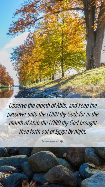 Picture 06 - Deuteronomy 16:1 KJV Mobile Phone Wallpaper - Observe the month of Abib, and keep the passover - Mobile Bible Verse Wallpaper
