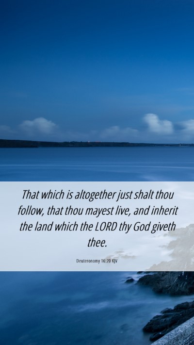 Picture 06 - Deuteronomy 16:20 KJV Mobile Phone Wallpaper - That which is altogether just shalt thou follow, - Mobile Bible Verse Wallpaper