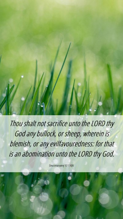 Picture 06 - Deuteronomy 17:1 KJV Mobile Phone Wallpaper - Thou shalt not sacrifice unto the LORD thy God - Mobile Bible Verse Wallpaper