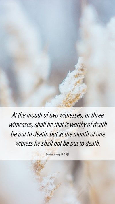 Picture 06 - Deuteronomy 17:6 KJV Mobile Phone Wallpaper - At the mouth of two witnesses, or three - Mobile Bible Verse Wallpaper