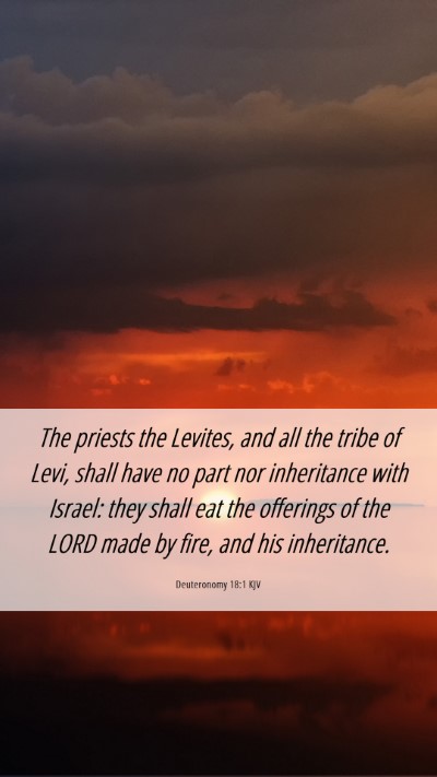Picture 06 - Deuteronomy 18:1 KJV Mobile Phone Wallpaper - The priests the Levites, and all the tribe of - Mobile Bible Verse Wallpaper