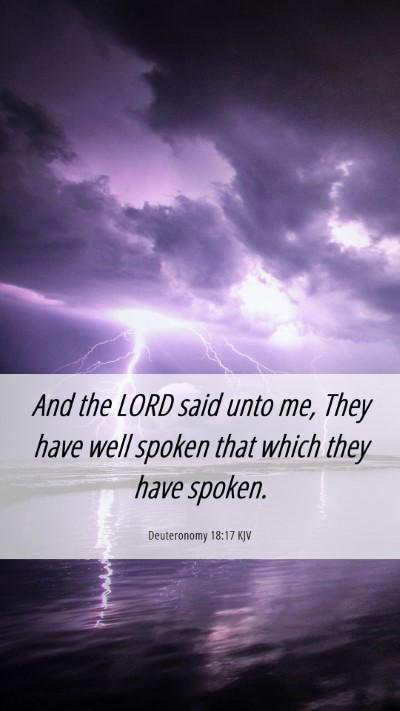 Picture 06 - Deuteronomy 18:17 KJV Mobile Phone Wallpaper - And the LORD said unto me, They have well spoken - Mobile Bible Verse Wallpaper