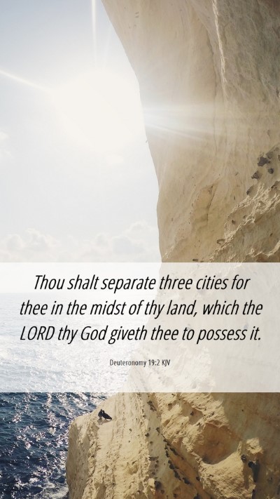 Picture 06 - Deuteronomy 19:2 KJV Mobile Phone Wallpaper - Thou shalt separate three cities for thee in the - Mobile Bible Verse Wallpaper