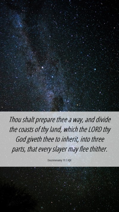 Picture 06 - Deuteronomy 19:3 KJV Mobile Phone Wallpaper - Thou shalt prepare thee a way, and divide the - Mobile Bible Verse Wallpaper