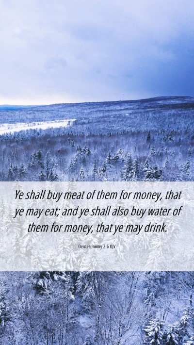 Picture 06 - Deuteronomy 2:6 KJV Mobile Phone Wallpaper - Ye shall buy meat of them for money, that ye may - Mobile Bible Verse Wallpaper