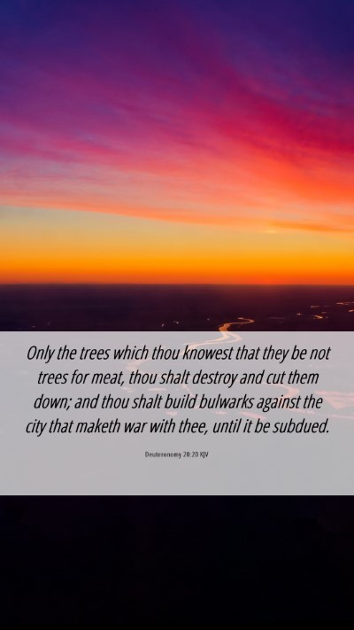 Picture 06 - Deuteronomy 20:20 KJV Mobile Phone Wallpaper - Only the trees which thou knowest that they be - Mobile Bible Verse Wallpaper