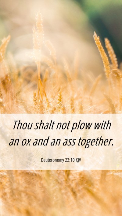 Picture 06 - Deuteronomy 22:10 KJV Mobile Phone Wallpaper - Thou shalt not plow with an ox and an ass - Mobile Bible Verse Wallpaper