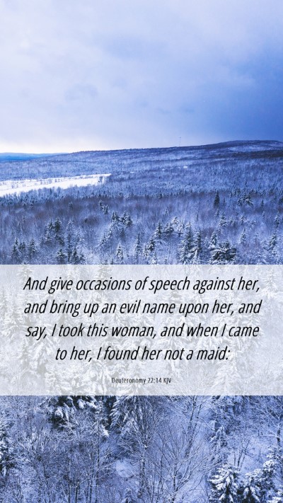 Picture 06 - Deuteronomy 22:14 KJV Mobile Phone Wallpaper - And give occasions of speech against her, and - Mobile Bible Verse Wallpaper