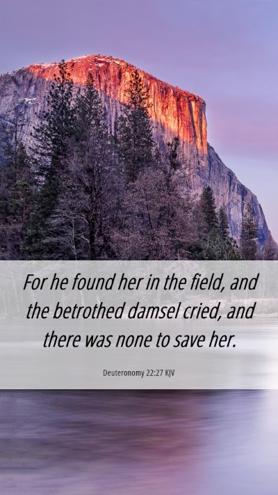 Picture 06 - Deuteronomy 22:27 KJV Mobile Phone Wallpaper - For he found her in the field, and the betrothed - Mobile Bible Verse Wallpaper