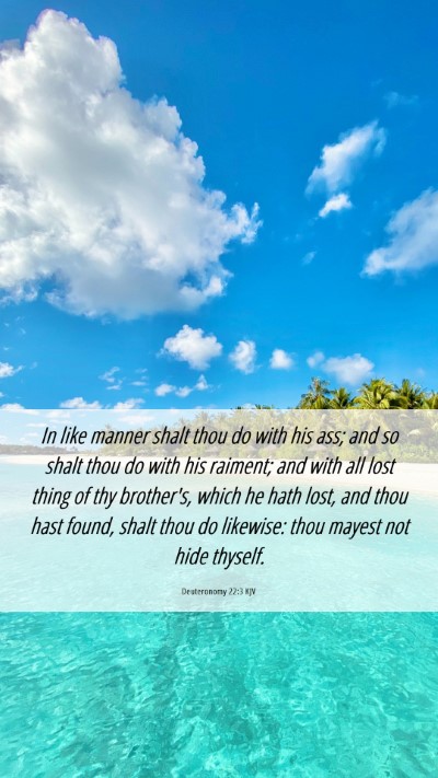 Picture 06 - Deuteronomy 22:3 KJV Mobile Phone Wallpaper - In like manner shalt thou do with his ass; and so - Mobile Bible Verse Wallpaper