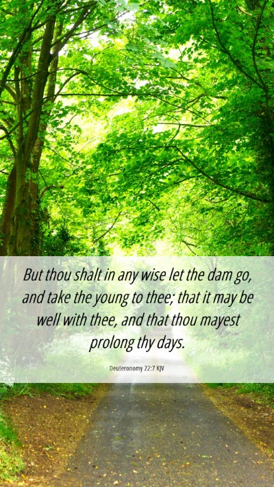 Picture 06 - Deuteronomy 22:7 KJV Mobile Phone Wallpaper - But thou shalt in any wise let the dam go, and - Mobile Bible Verse Wallpaper