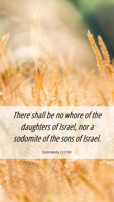 Picture 06 - Deuteronomy 23:17 KJV Mobile Phone Wallpaper - There shall be no whore of the daughters of - Mobile Bible Verse Wallpaper