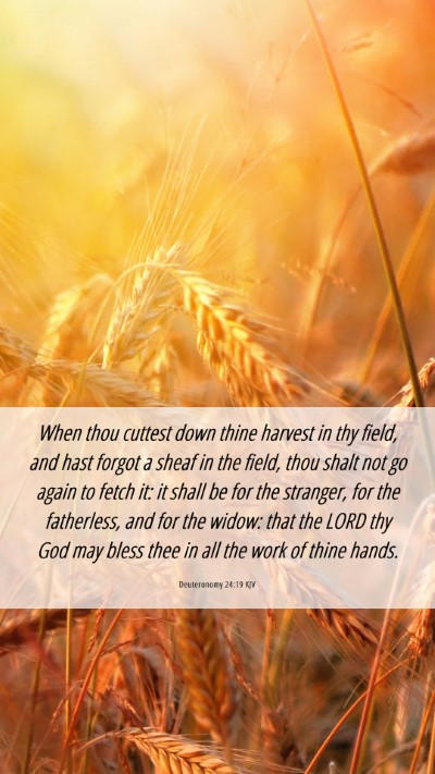 Picture 06 - Deuteronomy 24:19 KJV Mobile Phone Wallpaper - When thou cuttest down thine harvest in thy - Mobile Bible Verse Wallpaper