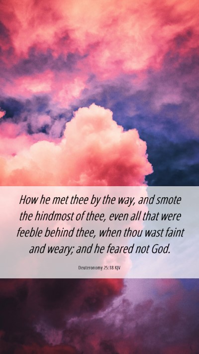 Picture 06 - Deuteronomy 25:18 KJV Mobile Phone Wallpaper - How he met thee by the way, and smote the - Mobile Bible Verse Wallpaper