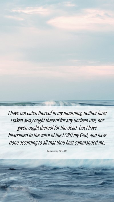 Picture 06 - Deuteronomy 26:14 KJV Mobile Phone Wallpaper - I have not eaten thereof in my mourning, neither - Mobile Bible Verse Wallpaper