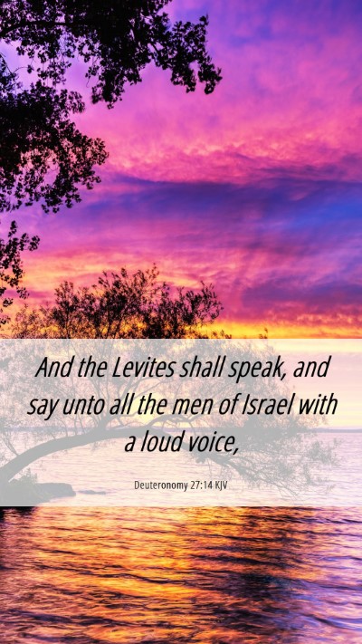 Picture 06 - Deuteronomy 27:14 KJV Mobile Phone Wallpaper - And the Levites shall speak, and say unto all the - Mobile Bible Verse Wallpaper